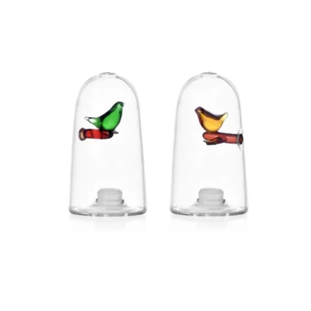 Birds - set sale e pepe uccellini